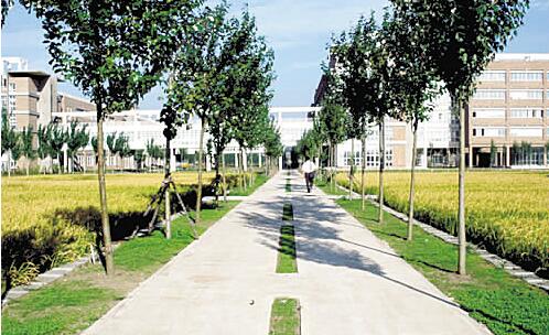 南充廣播電視大學(xué)南部縣分?！鸽姶蟆?></a></div>
          <dl>
              <dt><a href=