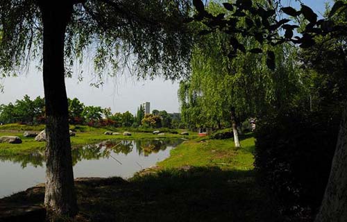 德昌縣廣播電視大學(xué)「電大」