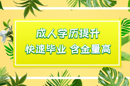 ?？粕ㄟ^統(tǒng)考專升本讀本科然后考研可行嗎
