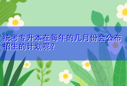 統(tǒng)考專升本在每年的幾月份會公布招生的計劃呢？