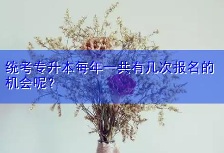 統(tǒng)考專升本每年一共有幾次報(bào)名的機(jī)會(huì)呢？