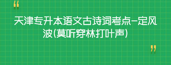 天津?qū)I菊Z文古詩詞考點-定風(fēng)波(莫聽穿林打葉聲) 天津?qū)I菊Z文古詩詞考點-定風(fēng)波(莫聽穿林打葉聲)