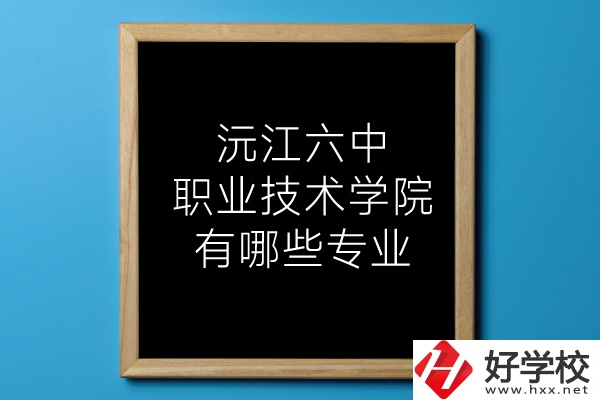 湖南沅江六中職業(yè)技術(shù)學(xué)院有哪些專(zhuān)業(yè)？