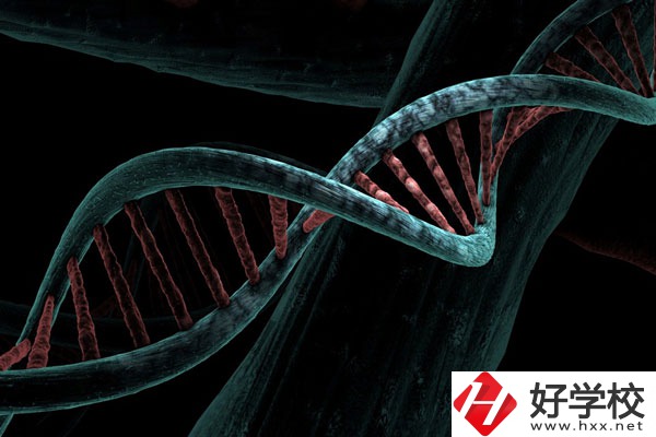 溆浦縣職業(yè)中等專業(yè)學校宿舍怎么樣？