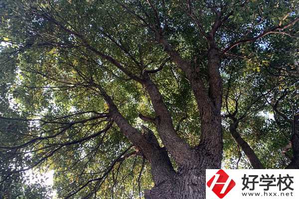 湖南省商業(yè)職業(yè)中專(zhuān)學(xué)校在哪里？升學(xué)就業(yè)怎么樣？