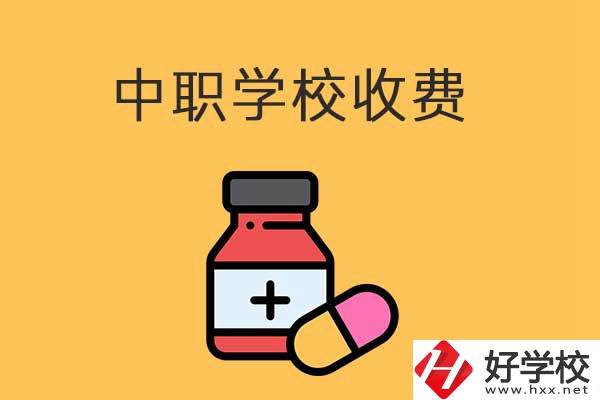 衡陽的中職學校怎么收費的？費用貴不貴？