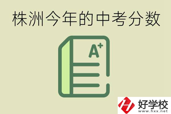 株洲今年中考多少分能上高中？沒考上有什么選擇？