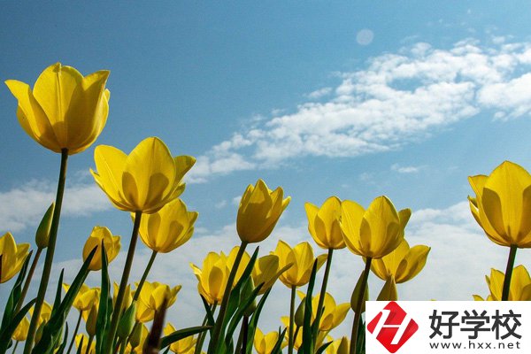 岳陽有開設(shè)工業(yè)機器人技術(shù)應(yīng)用專業(yè)的中職學(xué)校嗎？