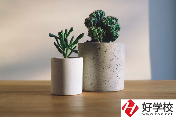 芷江民族職業(yè)中專招生專業(yè)有哪些？收費標準如何？