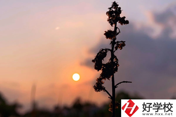 邵陽哈博職業(yè)中專學(xué)校好不好？有什么辦學(xué)特色？