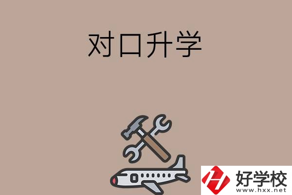 職高學(xué)生參加湖南省對口升學(xué)，有什么本科可以報考？