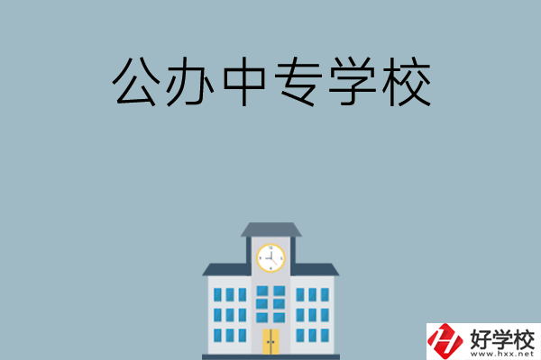 長沙有哪幾所公辦中專學校？