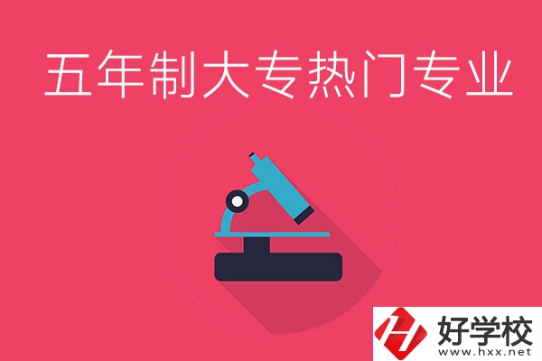湖南五年制大專最熱門(mén)的專業(yè)有哪些？