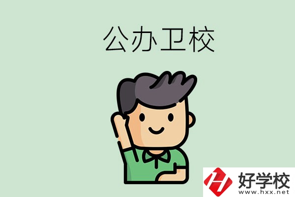 湖南的公辦衛(wèi)校有哪些？這兩所學(xué)校值得推薦！