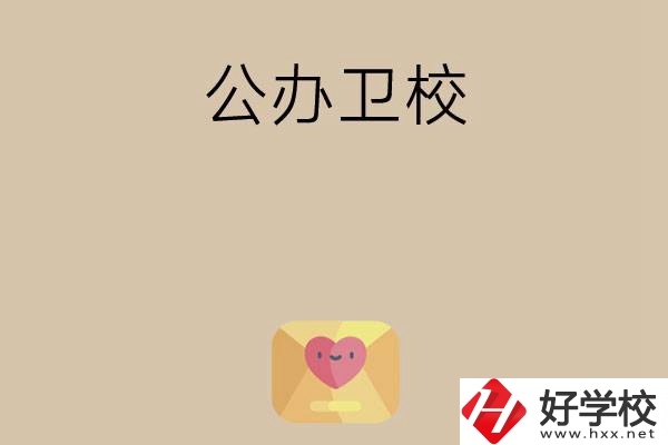 想在湖南上公辦衛(wèi)校？這所學校值得一看