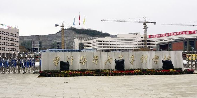 畢節(jié)醫(yī)藥高等?？茖W(xué)校校門
