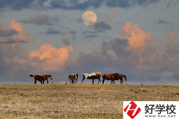 邵陽(yáng)工業(yè)學(xué)校是公辦還是民辦？有什么優(yōu)勢(shì)？
