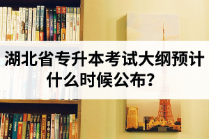 湖北省專升本考試大綱預計什么時候公布？現(xiàn)階段怎么備考比較好？