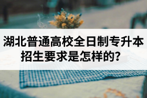 湖北普通高校全日制專升本招生要求是怎樣的？