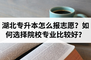 湖北省專升本怎么報(bào)志愿？如何選擇填報(bào)院校專業(yè)比較好？