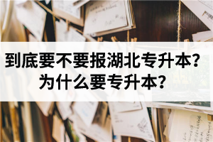到底要不要報湖北專升本？為什么要專升本？