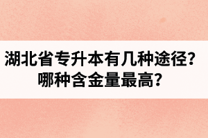 湖北省專升本有幾種途徑？哪種含金量最高？