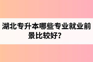 湖北專(zhuān)升本哪些專(zhuān)業(yè)就業(yè)前景比較好？