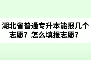 湖北省普通專升本能報幾個志愿？怎么填報志愿？