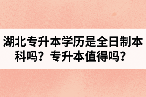 湖北專升本學(xué)歷是全日制本科嗎？專升本值得嗎？