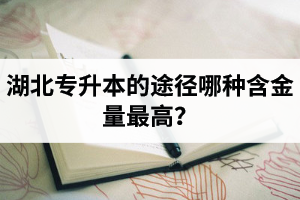 湖北普通專(zhuān)升本英譯漢段落翻譯分析應(yīng)該怎么做？