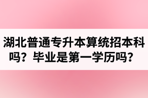 湖北普通專升本算統(tǒng)招本科嗎？專升本學(xué)歷是第一學(xué)歷嗎？