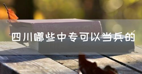 四川哪些中?？梢援?dāng)兵的(圖1)