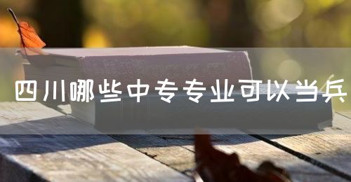 四川哪些中專(zhuān)專(zhuān)業(yè)可以當(dāng)兵(圖1)
