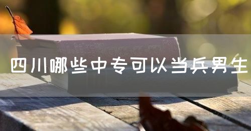 四川哪些中?？梢援?dāng)兵男生(圖1)