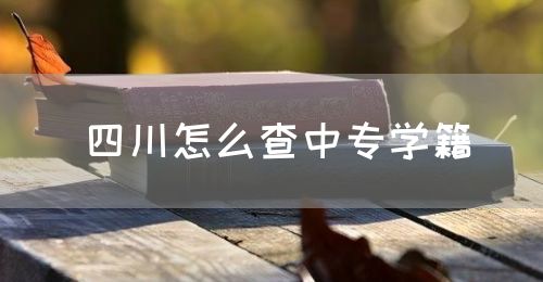 四川怎么查中專學籍？(圖1)