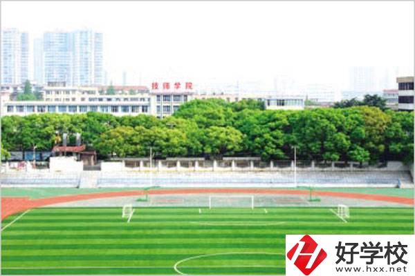 岳陽有什么公辦技校？