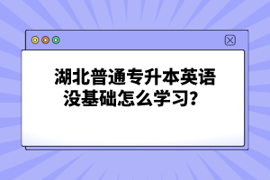 湖北普通專升本英語(yǔ)沒基礎(chǔ)怎么學(xué)習(xí)？
