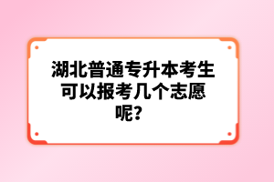 湖北普通專升本考生可以報(bào)考幾個(gè)志愿呢？
