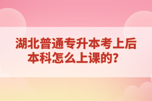 湖北普通專升本考上后本科怎么上課的？