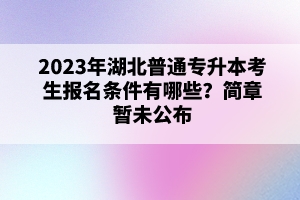 2023年湖北普通專升本考生報名條件有哪些？簡章暫未公布