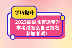 2023屆湖北普通專升本考試怎么自己報名參加考試？