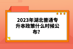 2023年湖北普通專升本政策什么時(shí)候公布？