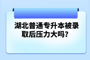 湖北普通專(zhuān)升本被錄取后壓力大嗎？
