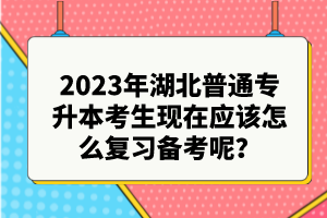 2023年湖北普通專升本考生現(xiàn)在應(yīng)該怎么復(fù)習(xí)備考呢？