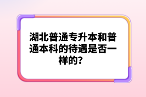 湖北普通專升本和普通本科的待遇是否一樣的？