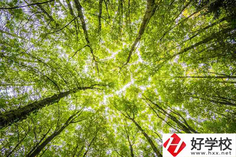 湘西州有哪些公辦中職學(xué)校？
