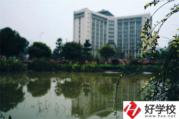 湘西有哪些重點技?？梢酝扑]？學校特色是什么？
