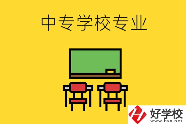湖南的中專學校有哪些專業(yè)好就業(yè)？