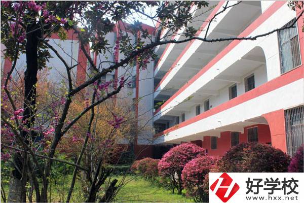 婁底有哪些技校？哪一所比較好？