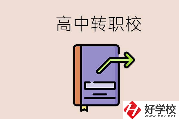 有在讀高中不想讀轉(zhuǎn)職校的例子嗎？能轉(zhuǎn)到湖南職校嗎？